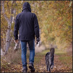 ブリーダー資格を取得するまでの平均期間