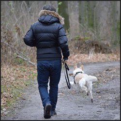 ブリーダー資格を生かせる現場