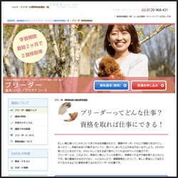 SARAスクールジャパンのブリーダー資格取得基本・プラチナコース